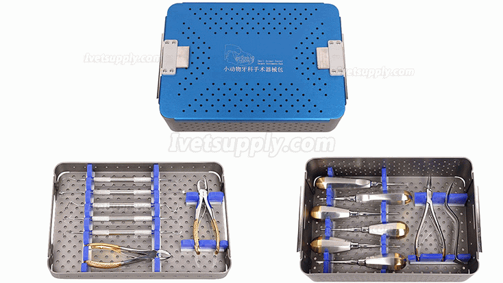 Veterinary Small Dental Extraction Kit Animals Feline & Canine Dentistry Apical Elevator